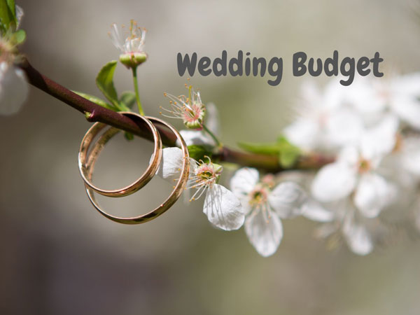 Wedding Costs in 2023
